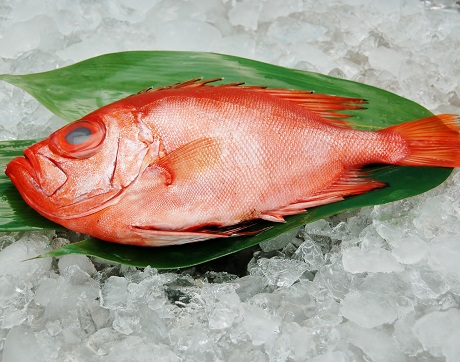 キントキダイ 業務用水産加工品のラングスティーヌ 魚フィレ 鮮魚をお探しの場合はイメックスにお任せ下さい