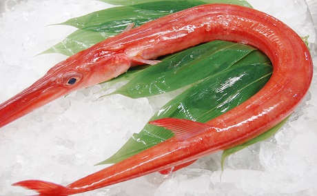 アカヤガラ 業務用水産加工品のラングスティーヌ 魚フィレ 鮮魚をお探しの場合はイメックスにお任せ下さい