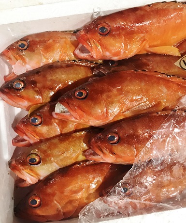 アカハタがおすすめです 業務用水産加工品のラングスティーヌ 魚フィレ 鮮魚をお探しの場合はイメックスにお任せ下さい